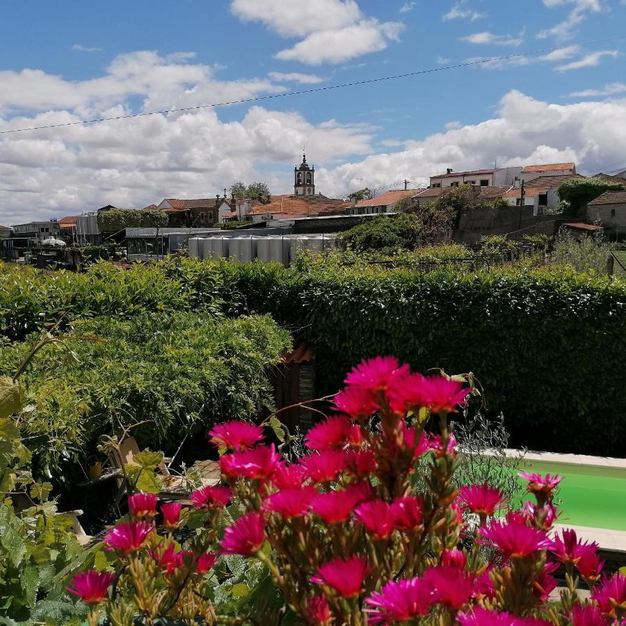 O Ze Ja Dormiu Aqui Villa Celeiros Dış mekan fotoğraf