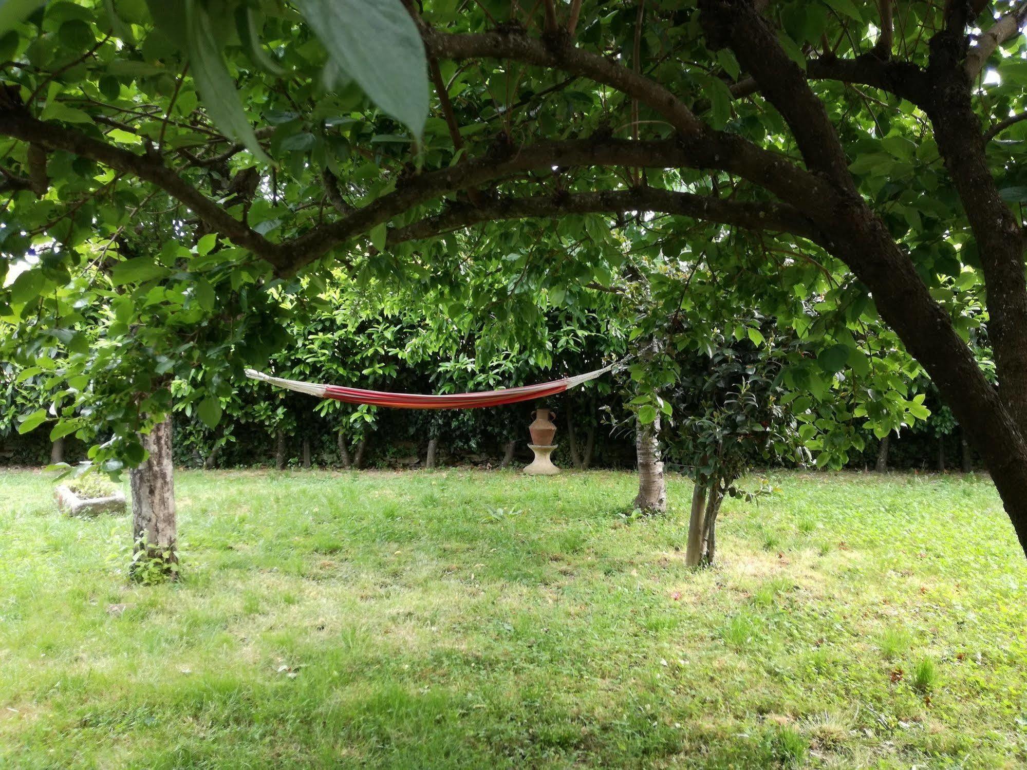 O Ze Ja Dormiu Aqui Villa Celeiros Dış mekan fotoğraf
