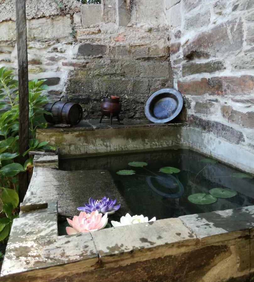 O Ze Ja Dormiu Aqui Villa Celeiros Dış mekan fotoğraf