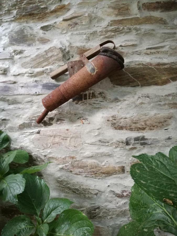 O Ze Ja Dormiu Aqui Villa Celeiros Dış mekan fotoğraf