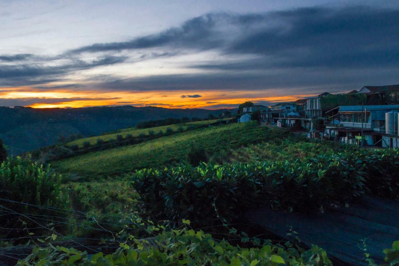 O Ze Ja Dormiu Aqui Villa Celeiros Dış mekan fotoğraf